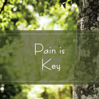 Pain is Key TAK 252 Pain is Key TAK 252